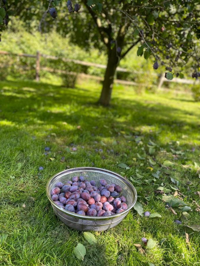 Klimatyczny Dom Kopaczowka Przytulna Miejscowka Z Kominkiem, Sauna I Ogrodem U Podnoza Gor Stolowych Radkow Exterior photo